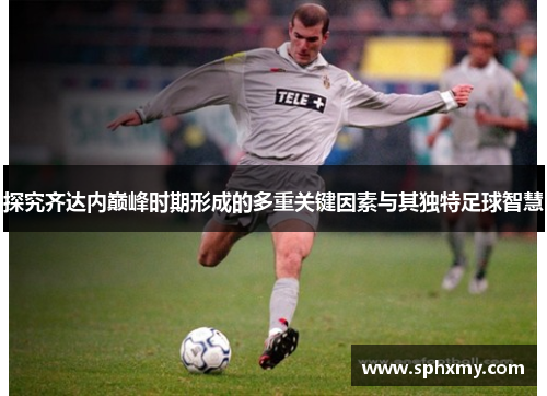 探究齐达内巅峰时期形成的多重关键因素与其独特足球智慧 探究齐达内巅峰时期形成的多重关键因素与其独特足球智慧