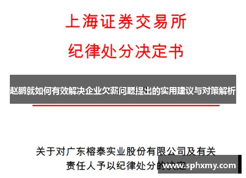 赵鹏就如何有效解决企业欠薪问题提出的实用建议与对策解析