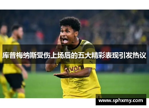 库普梅纳斯受伤上场后的五大精彩表现引发热议 库普梅纳斯受伤上场后的五大精彩表现引发热议